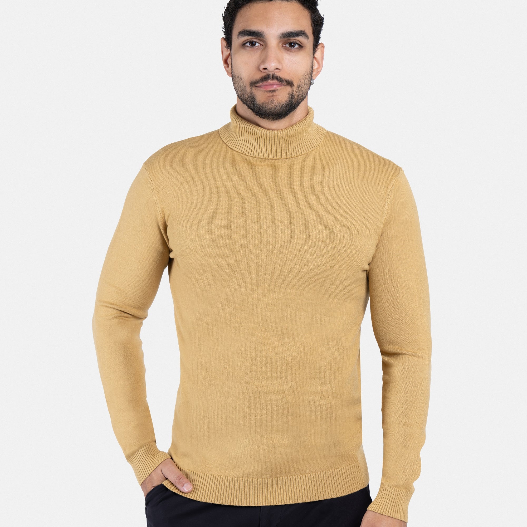 The Classic Turtleneck Perfect Sweater