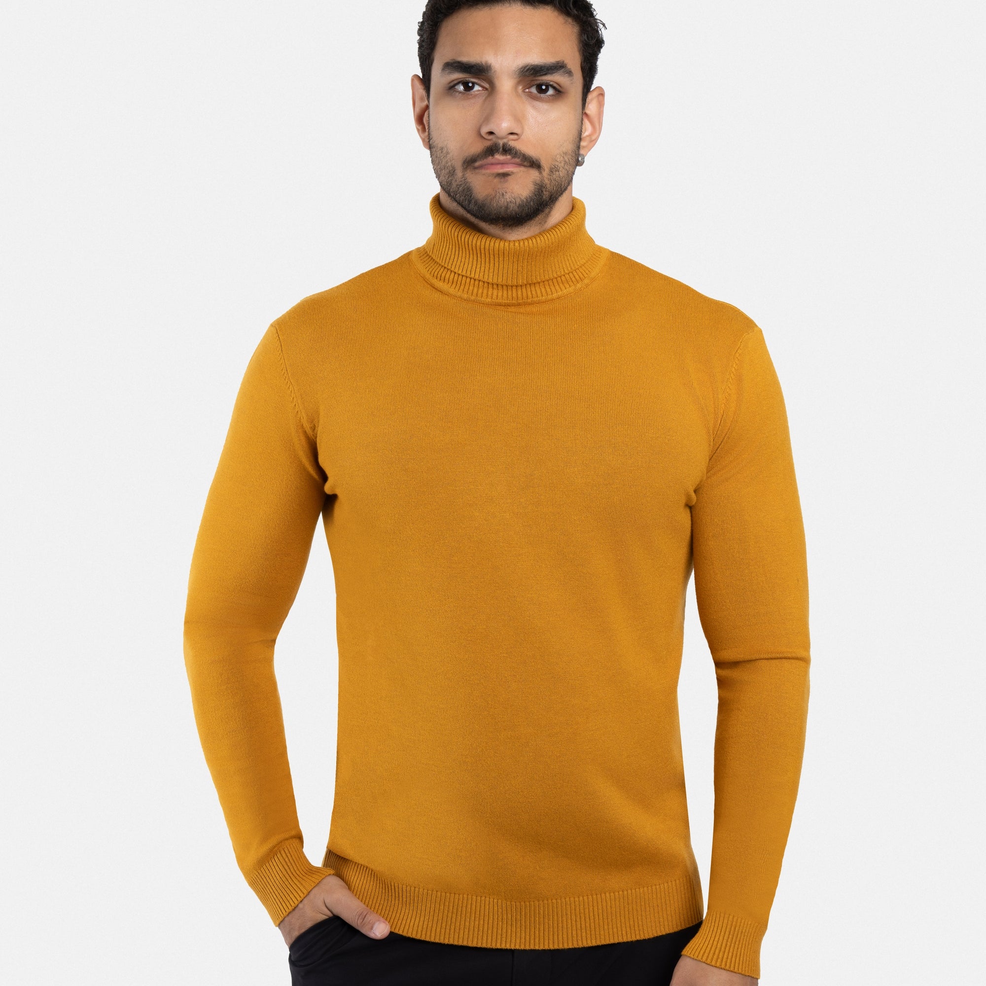 The Classic Turtleneck Perfect Sweater
