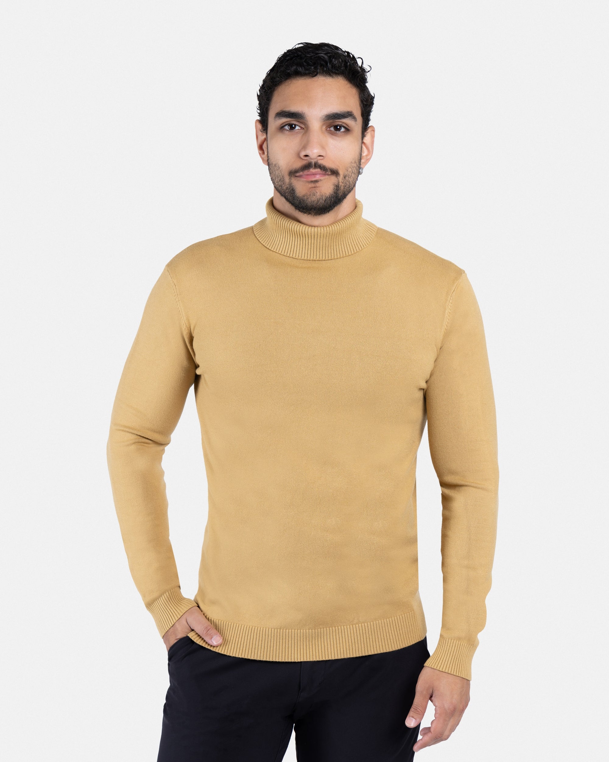 The Classic Turtleneck Perfect Sweater