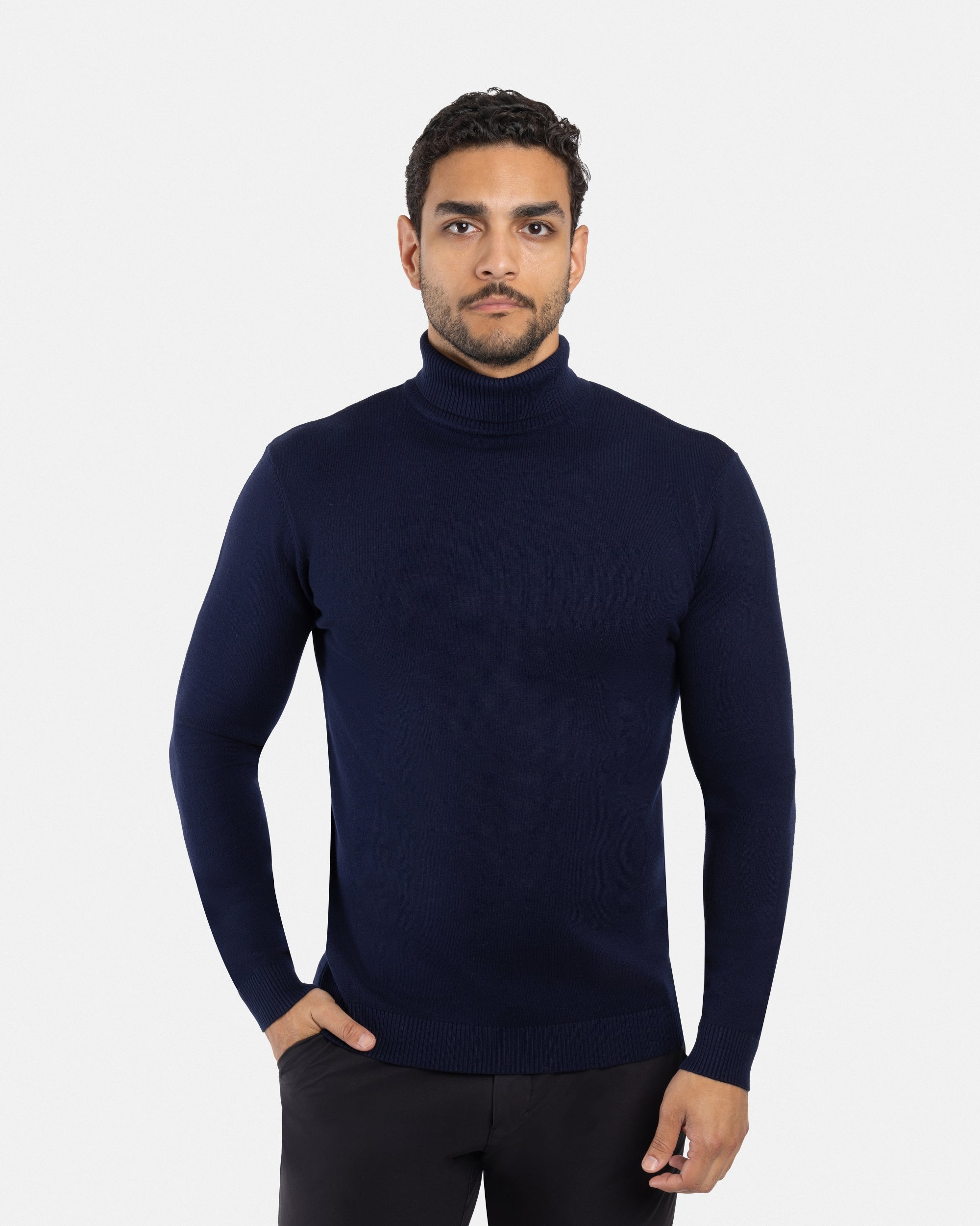 The Classic Turtleneck Perfect Sweater