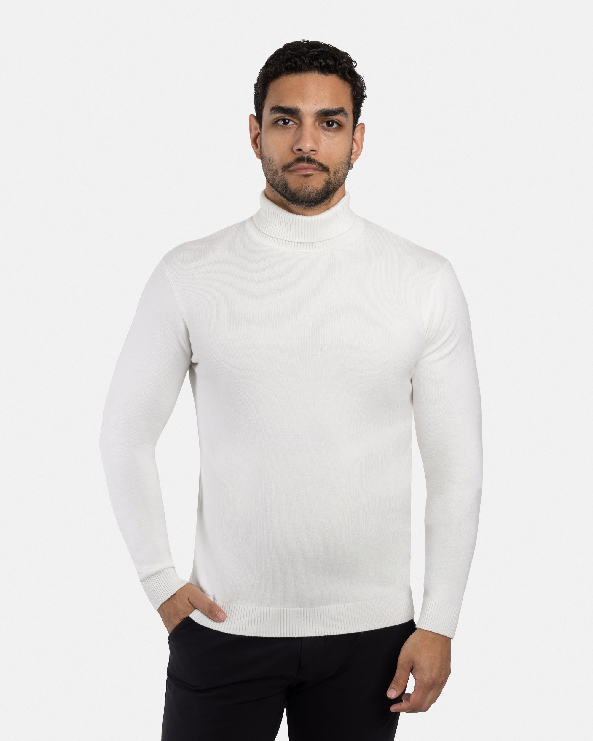 The Classic Turtleneck Perfect Sweater