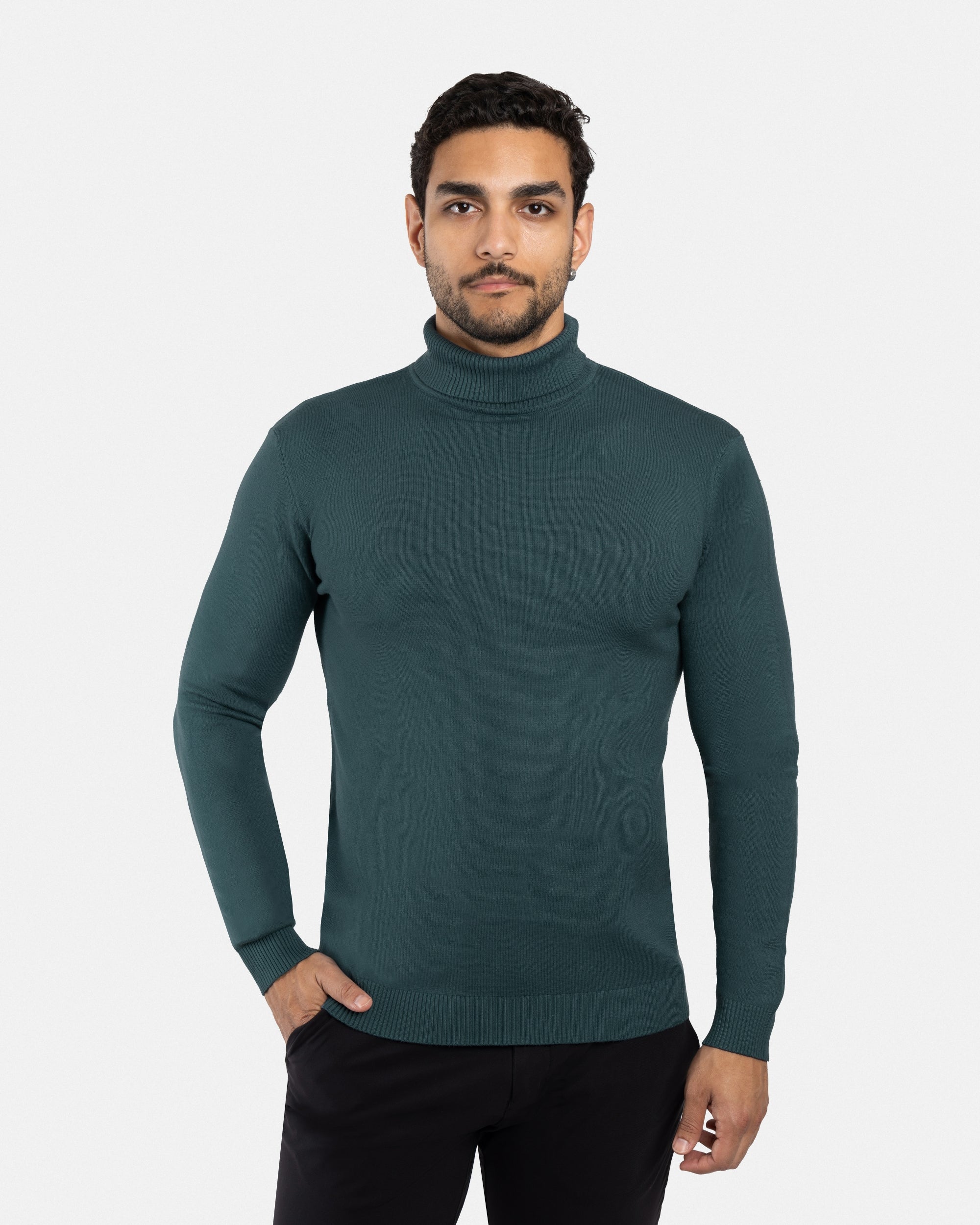 The Classic Turtleneck Perfect Sweater