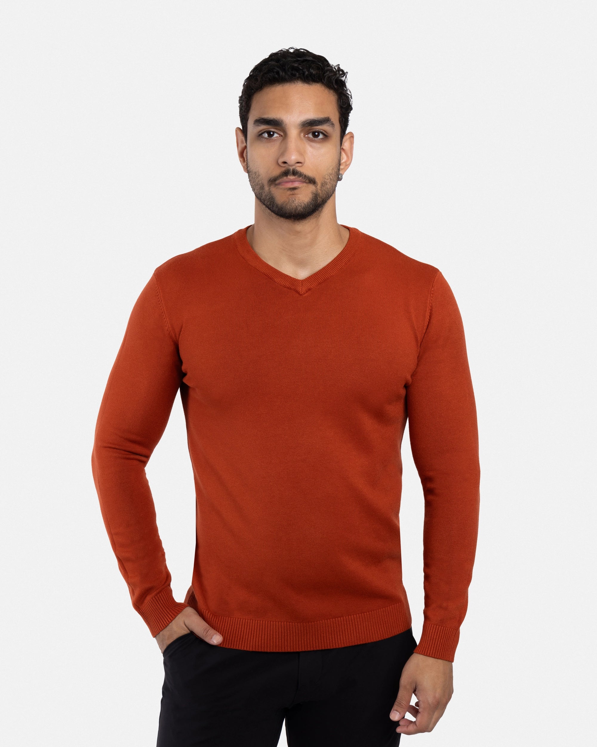 #XMW-39137 The Classic V-Neck Perfect Sweater